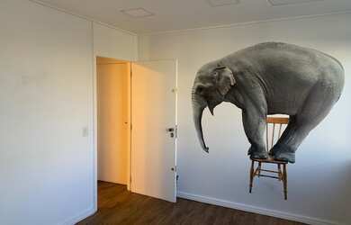 Imagem 5: Conjunto com layout