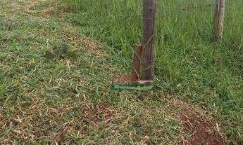 Imagem 5: Terreno à venda, 125 m² por R$ - Bairro Falção- Cunha/SP