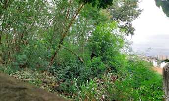 Imagem 6: Terreno - Jardim Paraíso - Campinas