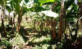 Imagem 4: Chácara Comunidade Palmeiras - Planaltina DF 205 Leste