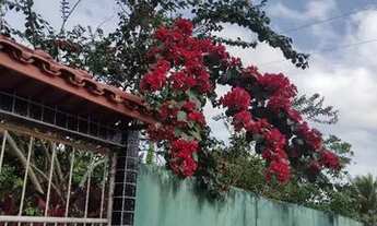 Imagem 4: Sítio em Ananindeua