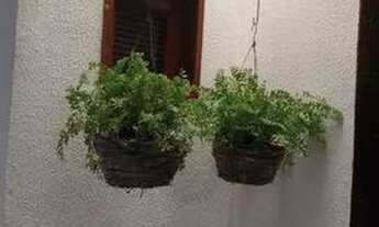 Imagem 2: Repasse de casa Casa com 2 dormitórios