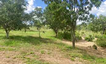 Imagem 4: Linda chácara em Aguas Lindas com Córrego passando atrás 5 mil ²