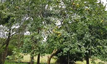 Imagem 3: SÃO JOSÉ DOS CAMPOS - Casa Padrão - URBANOVA I