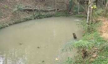 Imagem 7: Casa/ Sítio/ Chácara