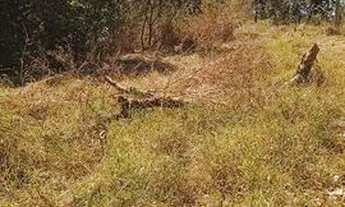 Imagem 2: Vendo lotes no setor de chácaras próximo a Nobel próximo a GO 222