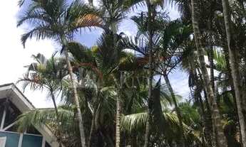 Imagem 5: SÃO SEBASTIÃO - Casa Padrão - MARESIAS