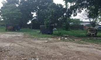 Imagem 2: Excelente área medindo 67 x 100 totalizando 6.700 m2 toda plana, na feirinha do Tabuleiro