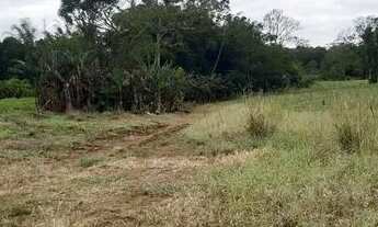 Imagem 7: Chácara à venda no bairro Cruz Alta - Morretes/PR