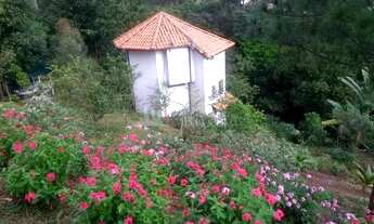 Imagem: SÃO SEBASTIÃO - Casa Padrão - TOPOLÂNDIA