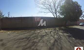 Imagem 3: Terreno (terreno normal