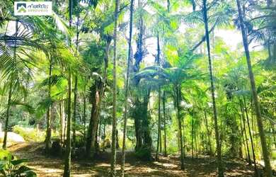 Imagem 4: Chácara à venda no bairro Rio Sagrado - Morretes/PR