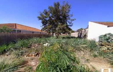 Imagem 4: Terreno (terreno normal