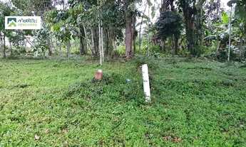 Imagem 2: Terreno à venda no bairro Vila das Palmeiras - Morretes/PR