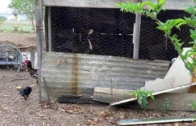 Imagem 6: Linda chácara para você que qr tranquilidade para morar ou para passar os finais de semana