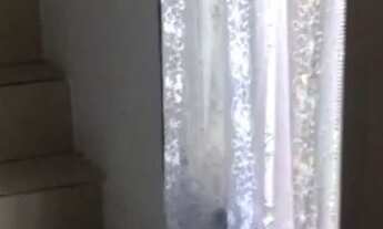 Imagem 5: Kitnete João Costa Joinville SC