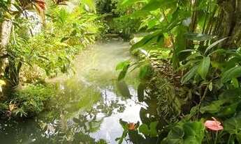 Imagem 6: FLORIANóPOLIS - Apartamento Padrão - Canasvieiras