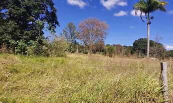 Imagem 4: Chácara 11/a,b,c,d frente a novo pecuária de Anápolis,Br 153