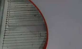 Imagem 4: Balcão Expositor Frigorífico Gelopar