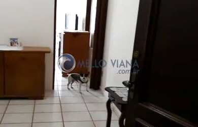 Imagem 3: Apartamento a 700 m do Parque das Águas