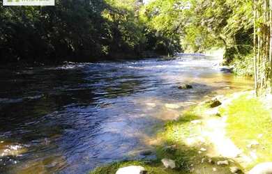 Imagem 2: Chácara-à-Venda-em-São-João-da-Graciosa-Morretes-PR