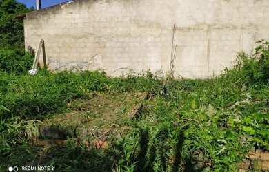 Imagem 5: Terreno no Conjunto Eduardo Gomes