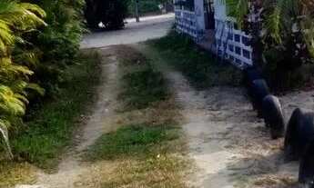 Imagem 2: Vendo sítio na Cabrita