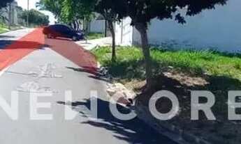 Imagem 4: Lote em Rua Pedro Cláudio Pio - Jardim Ibirapuera - Campinas/SP