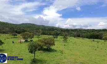 Imagem 4: Chácara Escriturada 6 Alqueires com Água e Curral Pirenópolis-GO