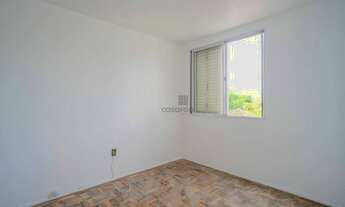 Imagem 5: Apartamento 3 quartos para aluguel Pelotas