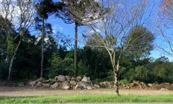 Imagem 3: Terreno para Venda em Nova Petrópolis, Vila Germânia
