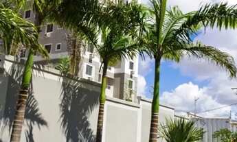 Imagem 5: LINDO APARTAMENTO EM COBERTURA NA AVENIDA ABEL CABRAL PROXIMO DA AYRTON SENNA