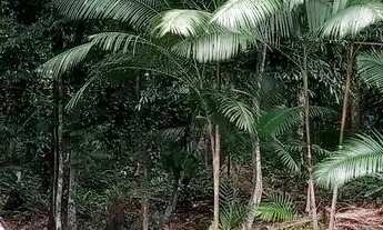 Imagem 5: Aluguel -mensal/2.000