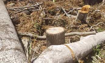 Imagem 5: Terreno à venda, 630 m² por R$ 382.000,00 - Vila Verde - Itapevi/SP