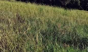 Imagem 2: Chácara à Venda com 11 Alqueires | Dupla Aptidão