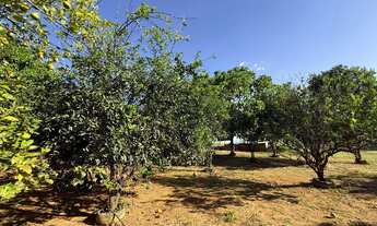 Imagem 7: Chácara - Setor Bela Vista