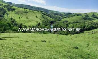 Imagem 4: Fazenda para Venda em Cascavel, Centro