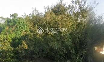 Imagem 2: Terreno à venda no bairro Vera Cruz, em Gravataí