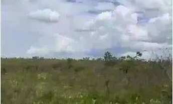 Imagem 4: FAZENDA (3.120 hectares). A 130 KM DE TANGARÁ DA SERRA. OPORTUNIDADE DE NEGÓCIO