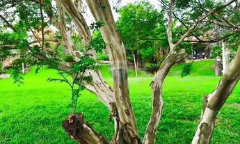 Imagem 5: Lindo Terreno de Chácara