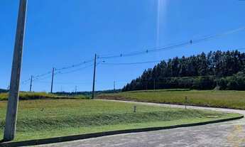 Imagem: Terreno à venda no Pinhal Alto. Nova Petrópolis