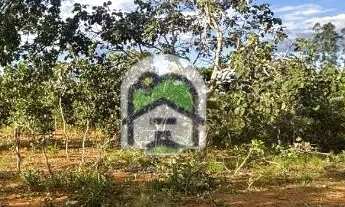 Imagem 5: De Carro Parado a Investimento Seguro