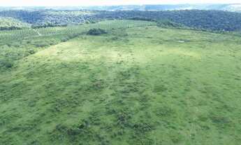 Imagem 5: FAZENDA DUPLA APTIDÃO 490 HA