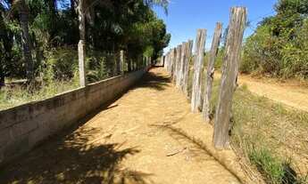 Imagem 7: Vendo Chácara na Radiobrás 2,5 hectares