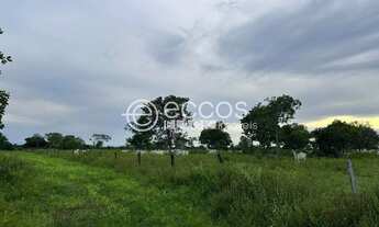 Imagem 7: Fazenda à venda, Área Rural - Paranã/TO