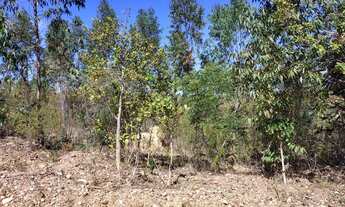 Imagem 5: Chácara em Jaboticatubas 2mil metros