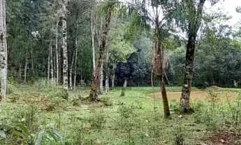 Imagem 2: Área de terra bairro Linha Imperial, Nova Petrópolis.RS Ref.:131