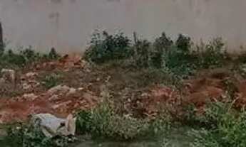 Imagem 3: RESIDENCIAL TABARANA - TERRENO C/ ÁREA DE 325,75 M²