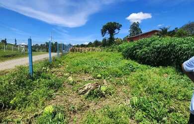 Imagem 9: Chácara Apanhador Caxias do Sul