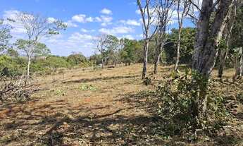 Imagem 6: CHÁCARA 30.000 METROS - 1KM ASFALTO e 7KM UBERLÂNDIA